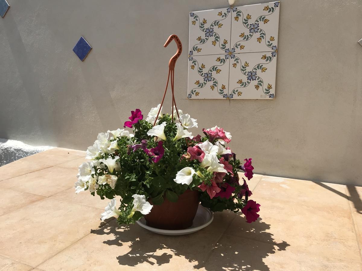 הוילה מסקלי Casa C&S מראה חיצוני תמונה